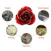 Ymiko 24k Gold Rose Dipped in Box with Display Stand Red Rose Her view 4