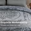 JYK Soft Fleece Bed Blanket King Size, 9 Lbs 800GSM Warm Thick Heavy Plush Blanket, 1 PLY Embossed Microfiber Mink Blanket for Winter, 85" x 95", Grey view 3