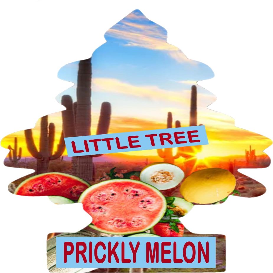 Little Tree Long-lasting Car Freshener With Adjustable Hanger (Prickly Melon)