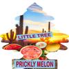 Little Tree Long-lasting Car Freshener With Adjustable Hanger (Prickly Melon) view 1