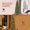 Yaheetech 6ft Pre-lit Pencil Spruce Christmas Tree, Artificial Slim Xmas Fir, Pre-Decorated for Home, Office, Party, Holiday Decor W/ 618 Tips, 200 Lights, Pine Cones, Metal Hinges & Base, Green view 2