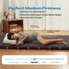 Aircliff Japanese Floor Mattress Futon Mattress, 2.5" Thick Shikibuton, Portable Foldable Sleeping Pad, Roll-Up Floor Bed Tatami Mat for Small Space, Dorm, Guest Bed, Design in Japan (Full) view 3