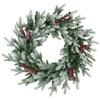 Real Touch Flocked Snowcap Grove Fir Artificial Christmas Wreath - 24" - Unlit view 1