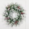 Real Touch Flocked Snowcap Grove Fir Artificial Christmas Wreath - 24" - Unlit view 2