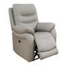 Electric Power Reclining Arm-Chair, Electric Genuine Breathing Leather Recliner Chair, Comfy Wide Lazy Top Grain Leather Chair with USB Port for Living Room (Grey, Single Chair) view 1