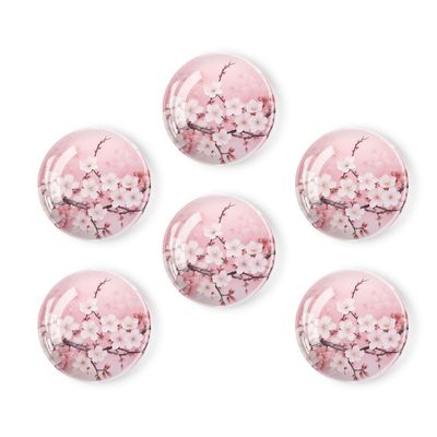 BaHomeck Refrigerator Magnets 6 Pcs,Round Strong Magnetic Glass Fridge Magnets,Blooming Pink Cherry Blossom Flowers Magnet Sticker Decorations for Office Whiteboards,Classroom,Home,Cabinets,1.2 inch