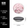 BaHomeck Refrigerator Magnets 6 Pcs,Round Strong Magnetic Glass Fridge Magnets,Blooming Pink Cherry Blossom Flowers Magnet Sticker Decorations for Office Whiteboards,Classroom,Home,Cabinets,1.2 inch view 2