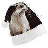 GFLFMXZW Otter Christmas Hats for Adults Plush Santa Hat Holiday Unisex Xmas Hat for New Year Party Headwear view 1