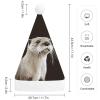 GFLFMXZW Otter Christmas Hats for Adults Plush Santa Hat Holiday Unisex Xmas Hat for New Year Party Headwear view 2