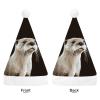 GFLFMXZW Otter Christmas Hats for Adults Plush Santa Hat Holiday Unisex Xmas Hat for New Year Party Headwear view 3