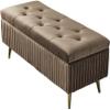 LYNEFOIN Bedroom Shoe Stool, Storage Velvet Shoe Stool with 4 Metal Legs Upholstered Footstool Bedroom Living Room Hallway Storage Bench, for Entryway Hallway Living Room Bedroom (Color : L view 1