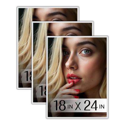 Plexon 18x24 Poster Frame White, Horizontal or Vertical Wall Mount, 3-Piece Set Picture Poster Frames 18 x 24, Picture Hanging, Durable Poster Frame Front Polished Plexiglass, Wall Gallery Frame Kit