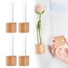 AGLOO Decorative Fridge Magnets - Mini Vase Planter Magnets for Refrigerator, Locker, Kitchen and Office - Cute Test Tube Plant Flower Vase (4) view 1