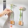 AGLOO Decorative Fridge Magnets - Mini Vase Planter Magnets for Refrigerator, Locker, Kitchen and Office - Cute Test Tube Plant Flower Vase (4) view 2