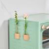 AGLOO Decorative Fridge Magnets - Mini Vase Planter Magnets for Refrigerator, Locker, Kitchen and Office - Cute Test Tube Plant Flower Vase (4) view 4