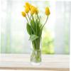 TOPPERFUN Cylinder Glass Vase Simple Flower Arrangement Container for Home Decor Wedding Centerpieces and Plant Height view 3
