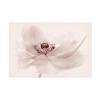 Trademark Fine Art Canvas Wall Art - Jacky Parker 'Nostalgia' Wall Art for Living Room, Bedroom, or Office Dcor view 1