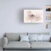 Trademark Fine Art Canvas Wall Art - Jacky Parker 'Nostalgia' Wall Art for Living Room, Bedroom, or Office Dcor view 2