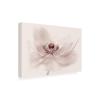 Trademark Fine Art Canvas Wall Art - Jacky Parker 'Nostalgia' Wall Art for Living Room, Bedroom, or Office Dcor view 4