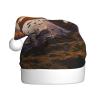HCLYvexiria Santa Hat for Adults Plush Christmas Hat Beautiful Sunrise Xmas Hats Soft Santa Hat with Pompom view 4