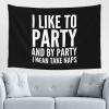 BGPTWLQMX I Like To Party And By Party I Mean Take Naps Tapestry Wall Hanging Decoration Blanket Bedroom Living Room Dormitory 3d Tapestry 60 * 40inch view 1