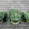 BOGABRA Jade Frog with Coin in Mouth,Feng Shui Frog,Money FrogAttract Wealth Good Luck Toad Decoration (Green*2) view 3