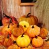 12Pcs Velvet Pumpkins Tree Decorations - 4Pcs 3'' and 8Pcs 2'' Pumpkin Hanging Fall Thanksgiving Ornament,Small Tree Brown Fabric Wrapped Fall Decor for Autumn Home Farmhouse Party (02) view 1
