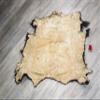 Real Buffalo Hide with Flaws G4955 view 2