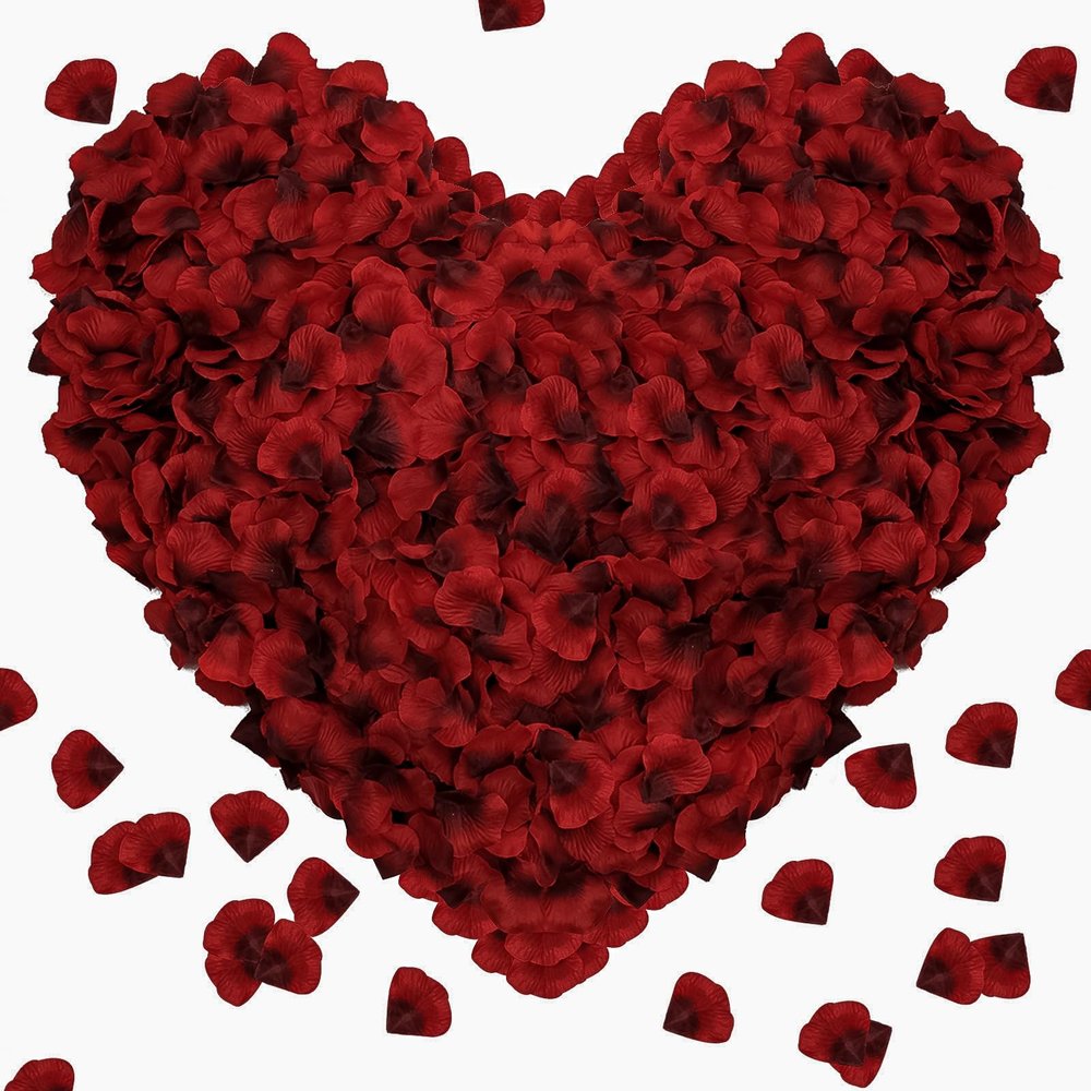 Pyrrhiax 1000 Pieces Rose Petals, Artificial Silk Rose Petals, Dark Red Dot Black, Classic/Elegant/Romantic Style, Flat, Indoor Use, Wedding/Anniversary Decor