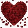 Pyrrhiax 1000 Pieces Rose Petals, Artificial Silk Rose Petals, Dark Red Dot Black, Classic/Elegant/Romantic Style, Flat, Indoor Use, Wedding/Anniversary Decor view 1