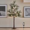 LITBLOOM Lighted Christmas Tree with Timer 4FT 36 Warm White LED Lights, Pine Tree with Lights for Home Xmas Holiday Decoration Indoor Outdoor view 1