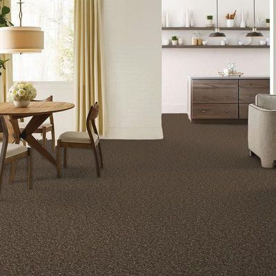 Griclner Wall to Wall Soft & Colorful Broadloom Loop Pile Carpet, Residential Commercial Carpet PP Tufted Corridor Custom-Cut Carpet Nylon Luxury Project Indoor Area Rug Brown Leather, 4 x 77 Feet
