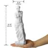 Queenbox 11.4in Venus Greek Goddess Statue, Resin Love Beauty Aphrodite Bust Sculpture for Artistic Home Office Hotel, White view 2