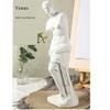 Queenbox 11.4in Venus Greek Goddess Statue, Resin Love Beauty Aphrodite Bust Sculpture for Artistic Home Office Hotel, White view 4