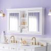 WELLFOR 55 x 30-in Bathroom Cabinet with Double-Side Mirrors, Wall Mounted Wood Mirror Storage Cabinet with 2 Soft-Close Door/ 6 Solid Wood Shelves, Anti-Fog Glass, Z-bar Hangs Vertically, White view 1