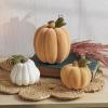 Primitives by Kathy Pumpkin - Cream Flocked view 3