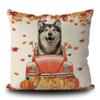 GABSHAIM Alaskan Malamute Dog Fall Autumn Decorative Throw Pillow Cover Dog Drive a Car Maple Leaves Pillowcase Linen 20X20 Inch Double Side Style 3 view 1