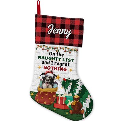 JaeTou Border Collie Dog Christmas Stocking on The Naughty List and I Regret Nothing Custom Xmas Tree Hanging Stockings for Home Party Decor 14.4"