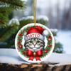 American Curl Wreath Ornament, Customized American Curl Ornament with Name, Personalized Cat Ornament Christmas 2026, American Curl Keepsake Ornament, Gifts for Men Women, American Curl Xmas Ornament view 3