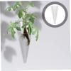 QUMIIRITY 2pcs Hanging Hydroponic Glass Planter Wall Vase Modern Design for Home Office Decoration for Plant Propagation Versatile Hanging Plant Bottle for Use view 4