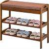FAMEOYA Entryway Bench, Shoe Bench for Living Room, Shoe Rack Bench Modern and Simple Double Layer, Shoe Changing Stool in The Hall, Shopping Mall Shoe Rack with Cushion view 1