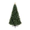 Evangeline 6.5ft Rotating Christmas Tree with Star Projector, 1024 Branch Tips, 380 Warm Lights and Rotating Base, 45" Wide Realistic Traditional Christmas Tree with Lights by Naomi Home view 4