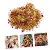 TOYANDONA 3pcs Artificial Xmas Garland Foil Star Garland for Christmas Versatile Holiday Wall and Door Decoration for Weddings and view 3