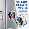 (2 Pack) Bernese Mountain Dog Breed Magnets - 5 Inches On Longest Side - Choose from Over 100 Dog Breeds - for Cars, Refrigerators, Toolboxes - Made in USA - MAG1778 view 2