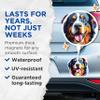 (2 Pack) Bernese Mountain Dog Breed Magnets - 5 Inches On Longest Side - Choose from Over 100 Dog Breeds - for Cars, Refrigerators, Toolboxes - Made in USA - MAG1778 view 4