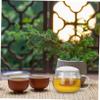BRIGHTFUFU Glass Tea Mug Set with Infuser and Lid Stylish Round Coffee Cup for Loose Leaf and Flowering Tea for Home Office Use view 4