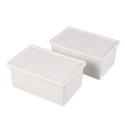 GRIRIW 2pcs Plastic Storage Boxes Home Organizer Containers for Garage Pantry Cubby Storage