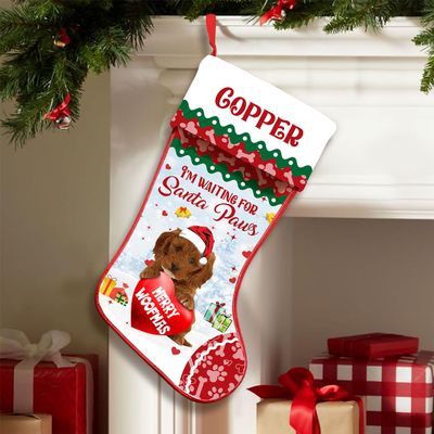 Love Signal Personalized Cockapoo 1 Stockings Christmas, I'm Waiting for Santa Paws Dog Stocking, Custom Christmas Stockings for Pet Lover, Funny Gifts for Dog Mom Dog Dad