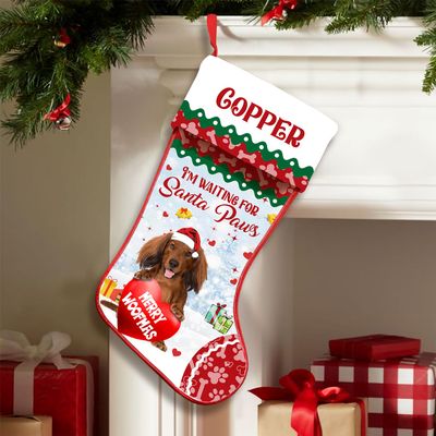 Love Signal Personalized Dachshund 4 Stockings Christmas, I'm Waiting for Santa Paws Dog Stocking, Custom Christmas Stockings for Pet Lover, Funny Gifts for Dog Mom Dog Dad