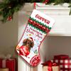 Love Signal Personalized Dachshund 4 Stockings Christmas, I'm Waiting for Santa Paws Dog Stocking, Custom Christmas Stockings for Pet Lover, Funny Gifts for Dog Mom Dog Dad view 1